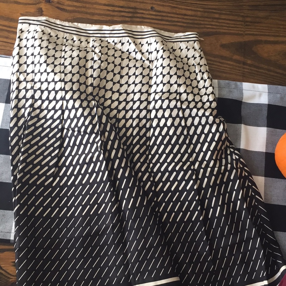 Silk Skirt